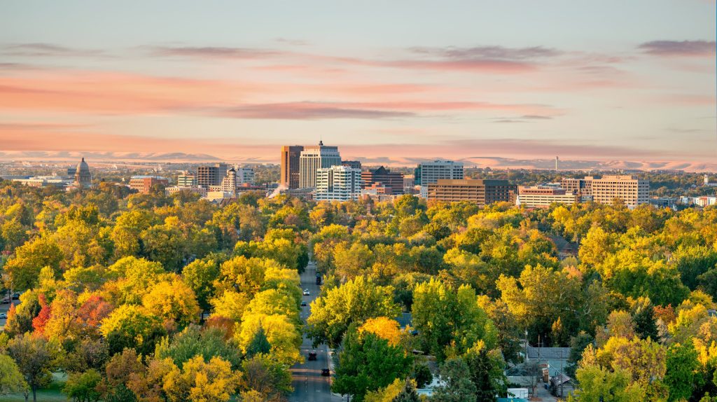 Fall colors in the city of trees Boise Idaho morning